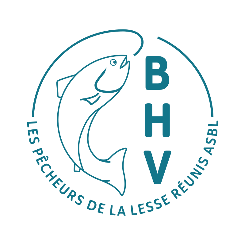 BHV asbl - LES PÊCHEURS DE LA LESSE RÉUNIS - Pêcher sur la Lesse